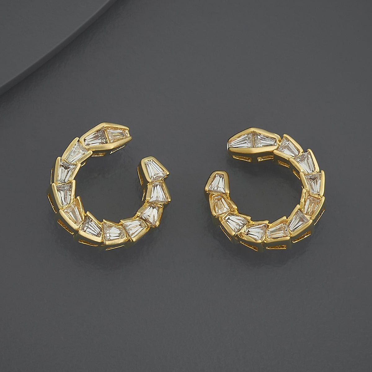 Trendy Zircon Earring Trendy Earring 186282