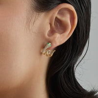 Trendy Zircon Earring Trendy Earring 187429