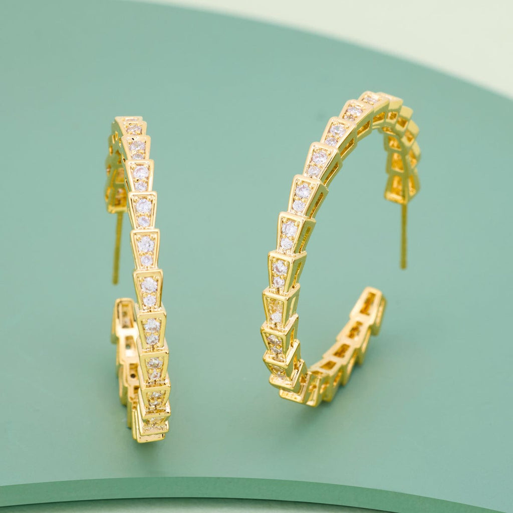 Trendy Zircon Earring Trendy Earring 187523