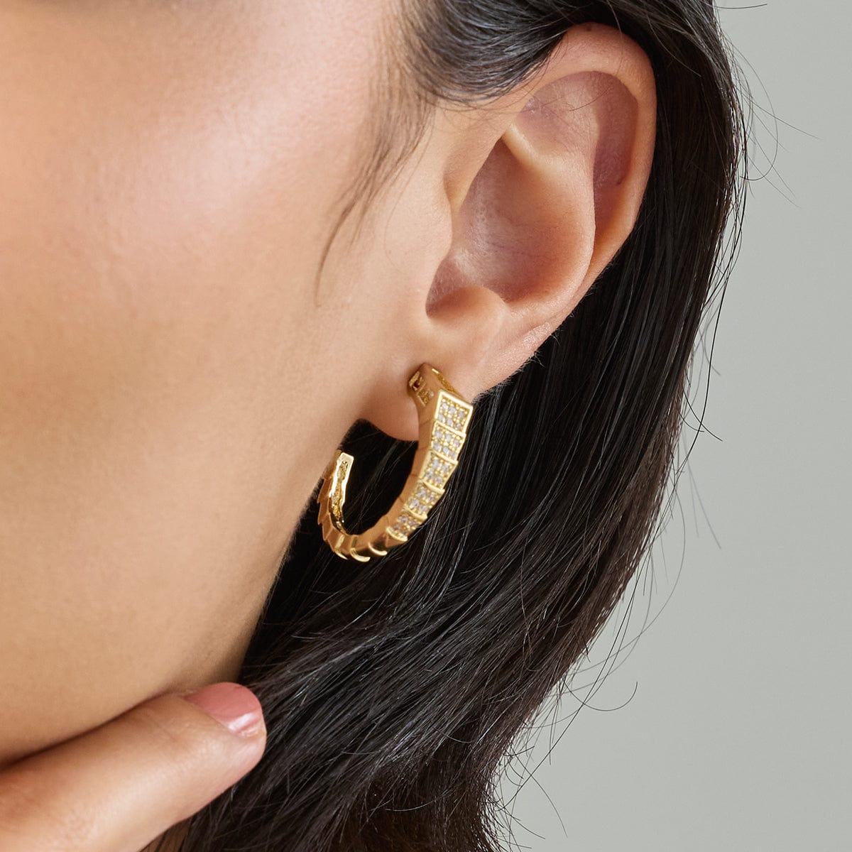 Trendy Zircon Earring Trendy Earring 187524