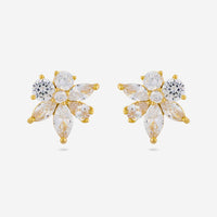 Trendy Zircon Earring Trendy Earring 196052
