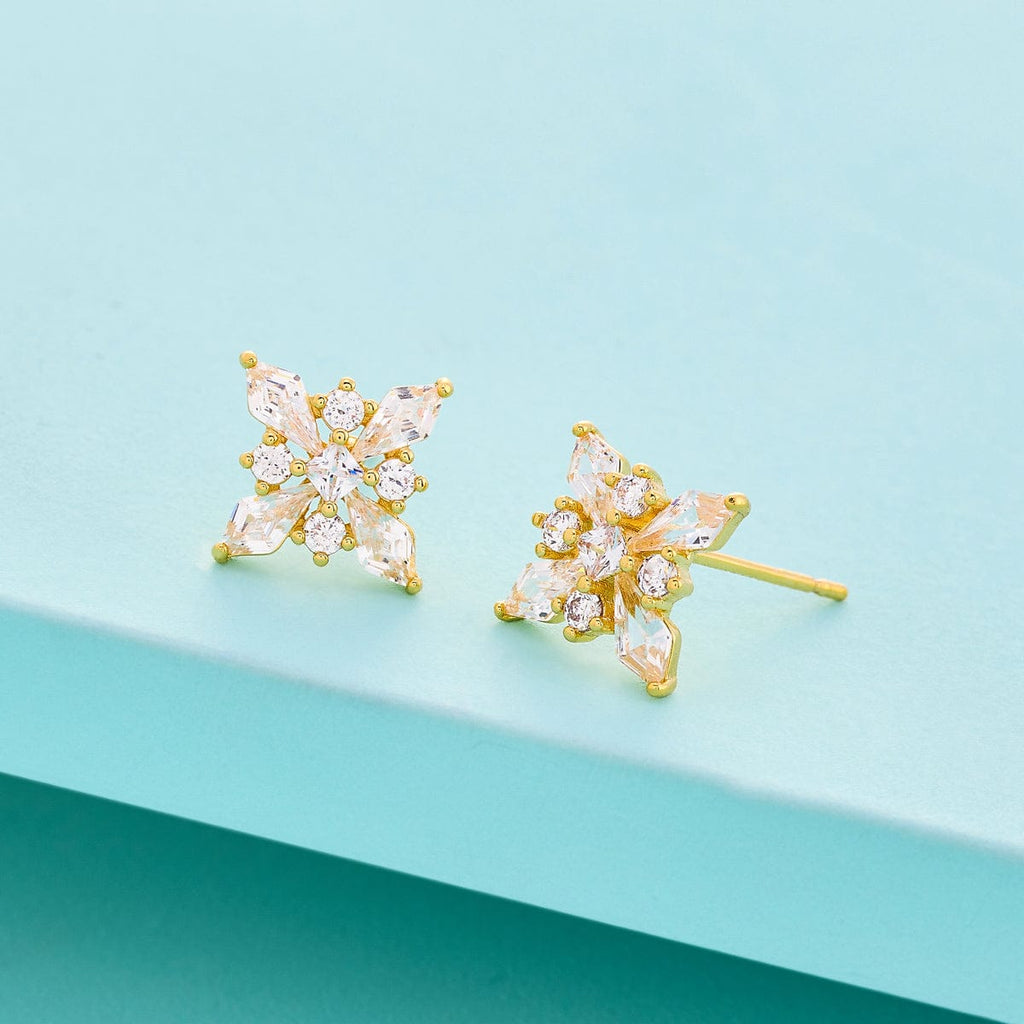 Trendy Zircon Earring Trendy Earring 196182