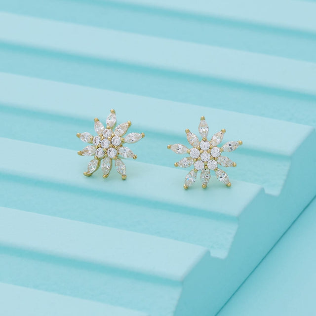Trendy Zircon Earring Trendy Earring 196408