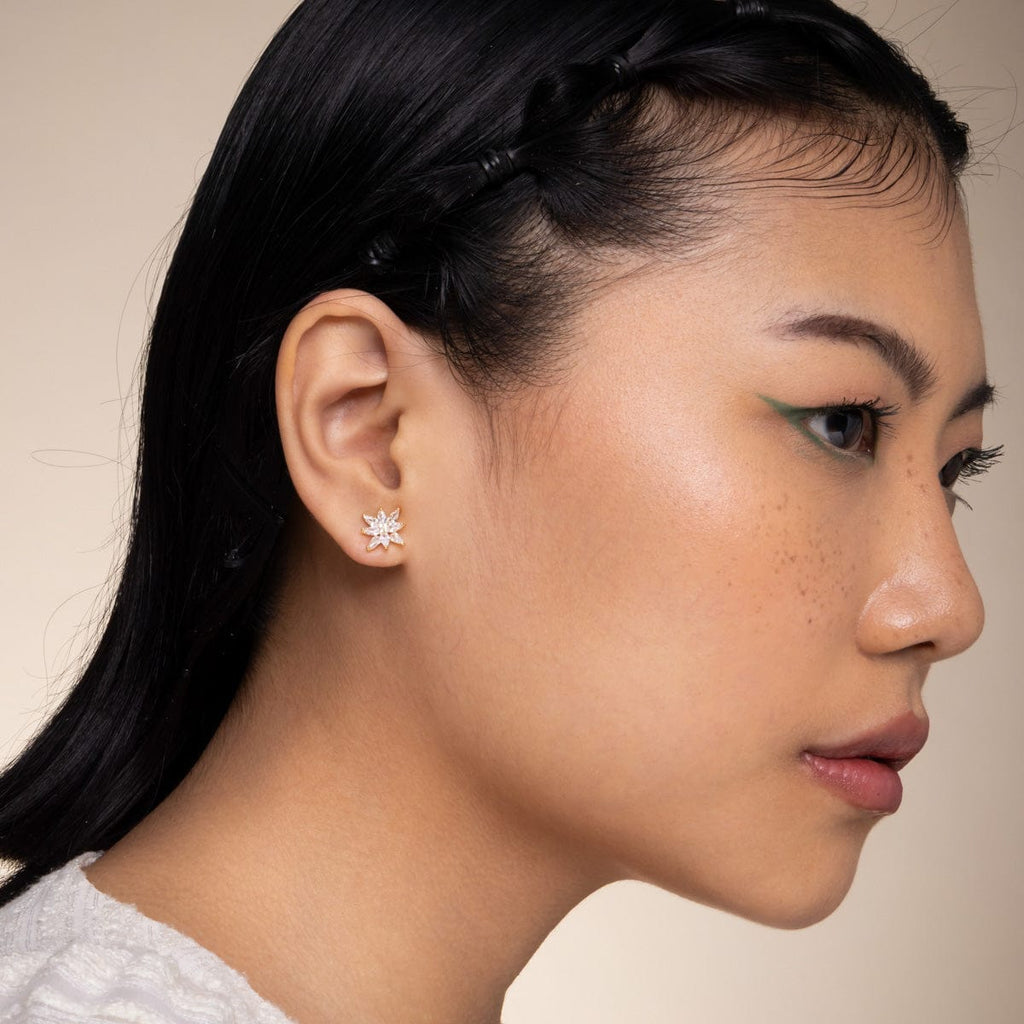 Trendy Zircon Earring Trendy Earring 196418