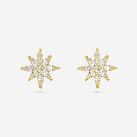 Trendy Zircon Earring Trendy Earring 196418