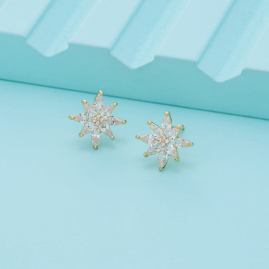 Trendy Zircon Earring Trendy Earring 196418
