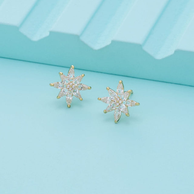 Trendy Zircon Earring Trendy Earring 196418