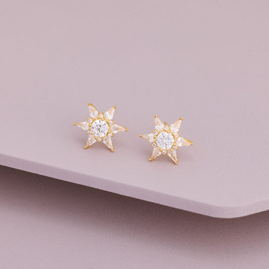 Trendy Zircon Earring Trendy Earring 196421