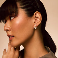 Trendy Zircon Earring Trendy Earring 196448