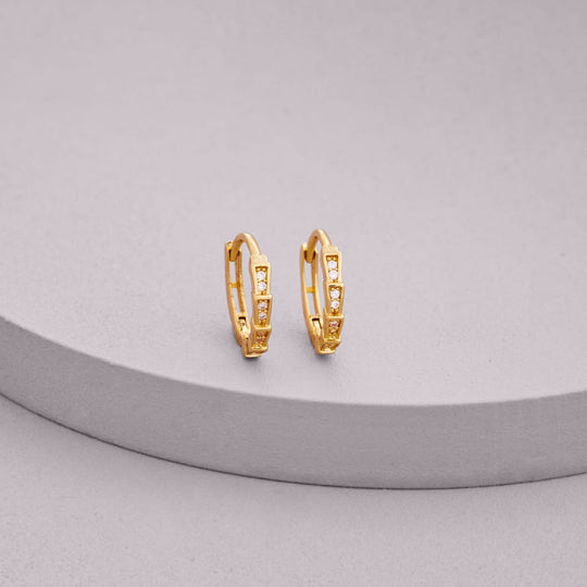 Trendy Zircon Earring Trendy Earring 203530