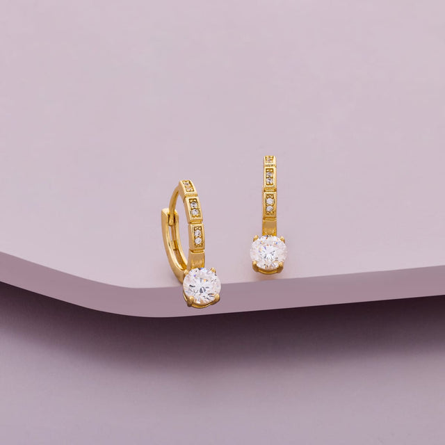 Trendy Zircon Earring Trendy Earring 204530