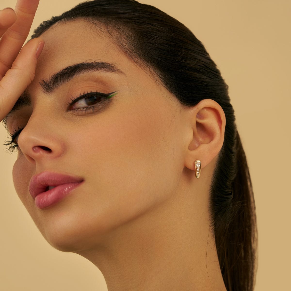 Trendy Zircon Earring Trendy Earring 179328