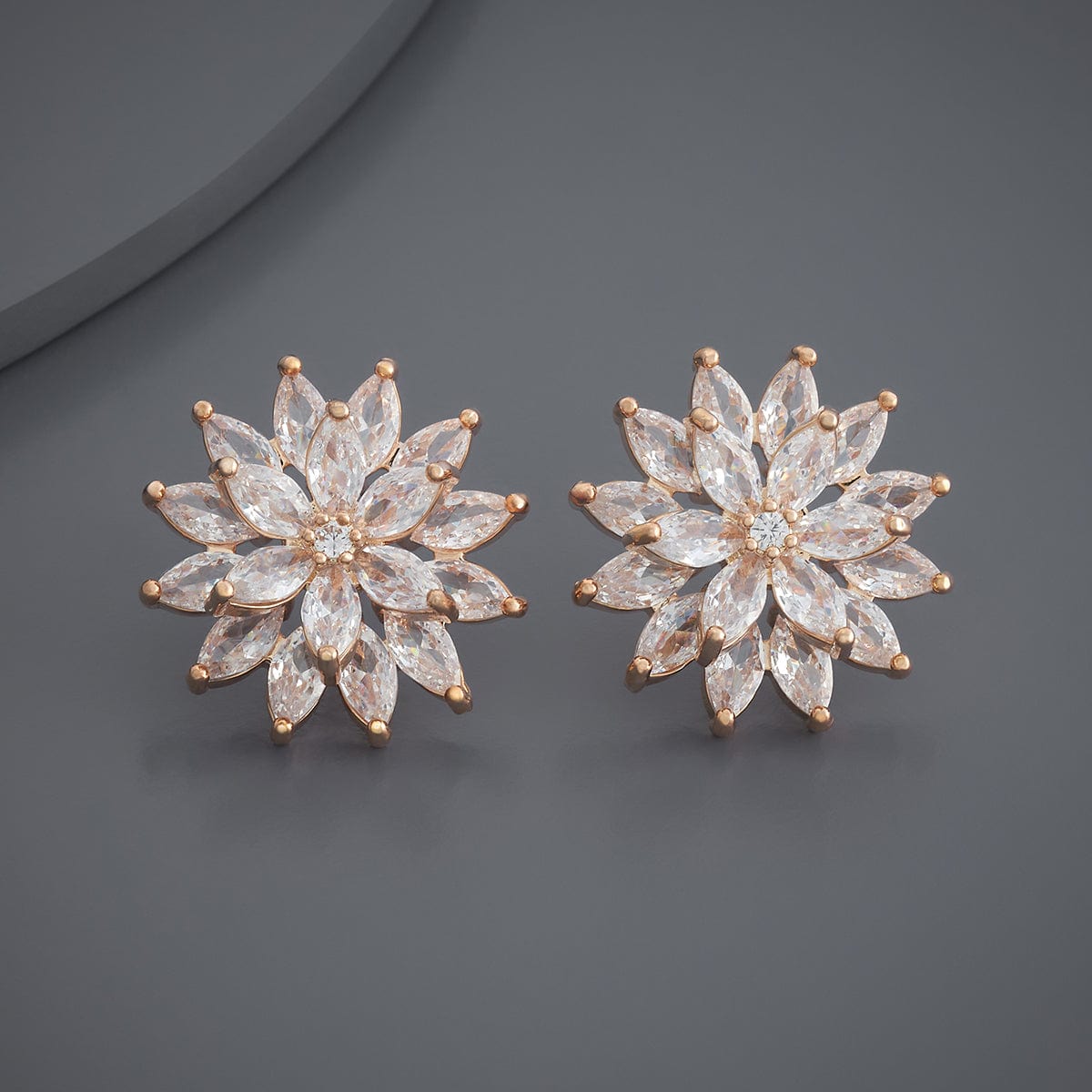 Trendy Zircon Earring Trendy Earring 184282