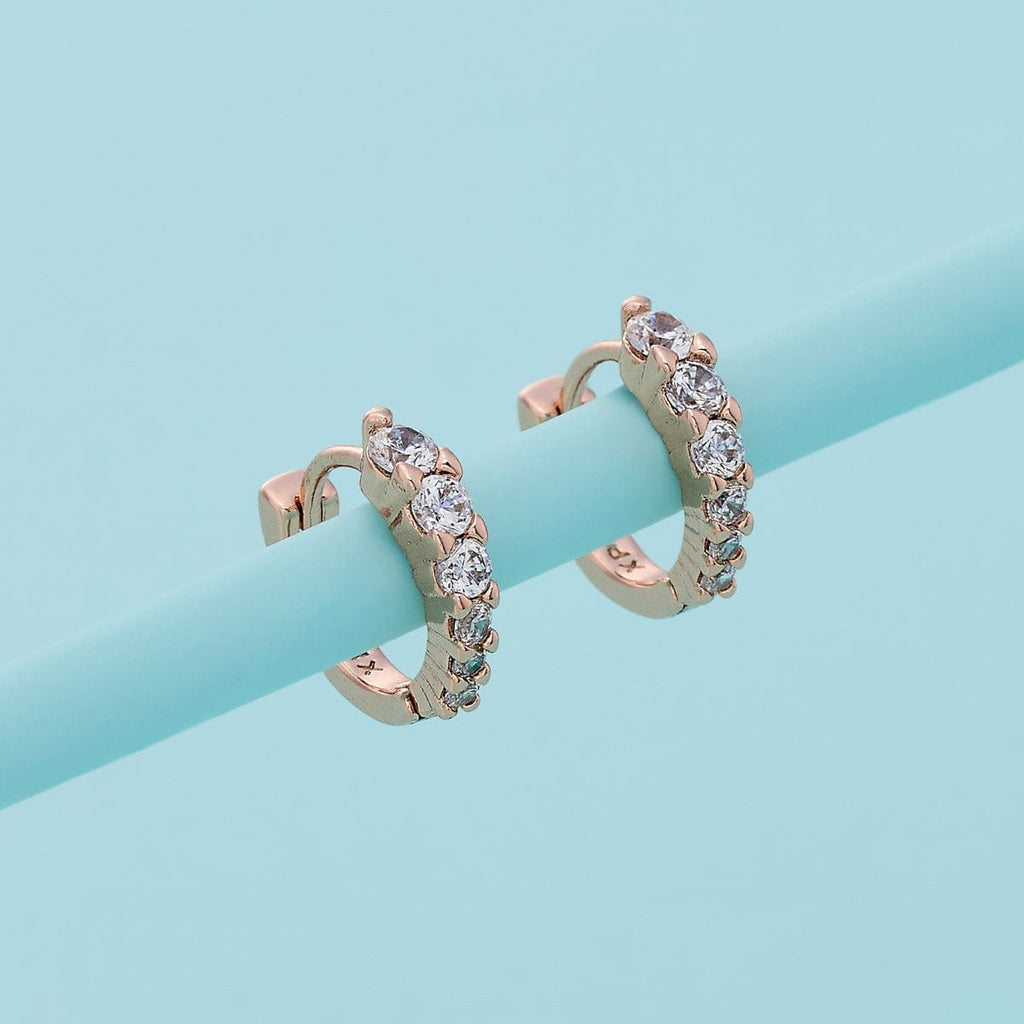 Trendy Zircon Earring Trendy Earring 196388