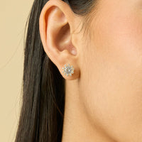Zircon Earring Zircon Earring 132004