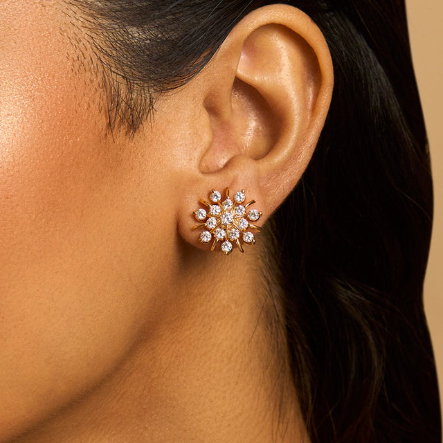 Zircon Earring Zircon Earring 173153
