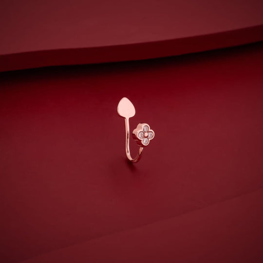 Zircon Nath Zircon Nath 174774