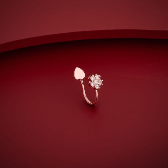 Zircon Nath Zircon Nath 174775