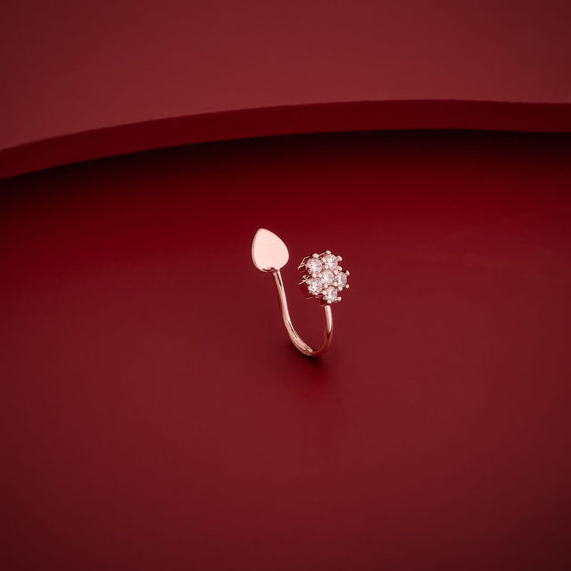 Zircon Nath Zircon Nath 174775